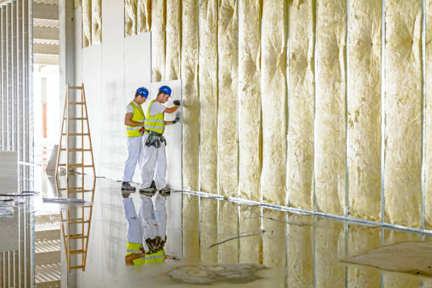 Best Attic Insulation Installation  in Sublette, KS